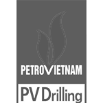 logo pvd